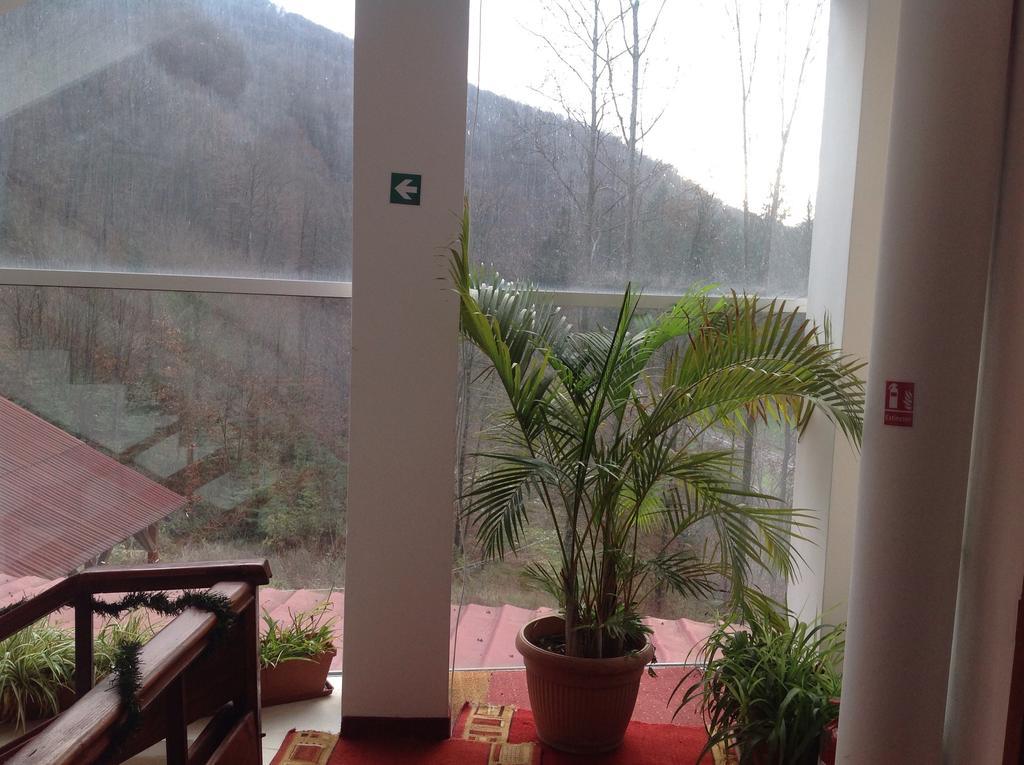 Hotel Panoramic Moneasa Phòng bức ảnh