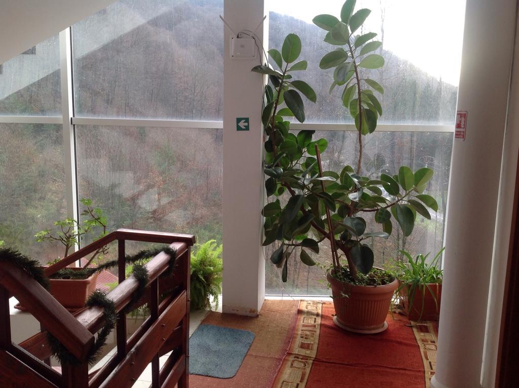 Hotel Panoramic Moneasa Phòng bức ảnh